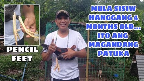 MULA SISIW HANGGANG 4 MONTHS OLD ITO ANG .